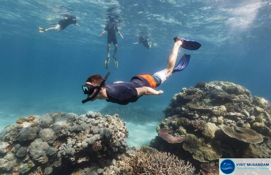 How can snorkeling enhance your visit to Musandam?