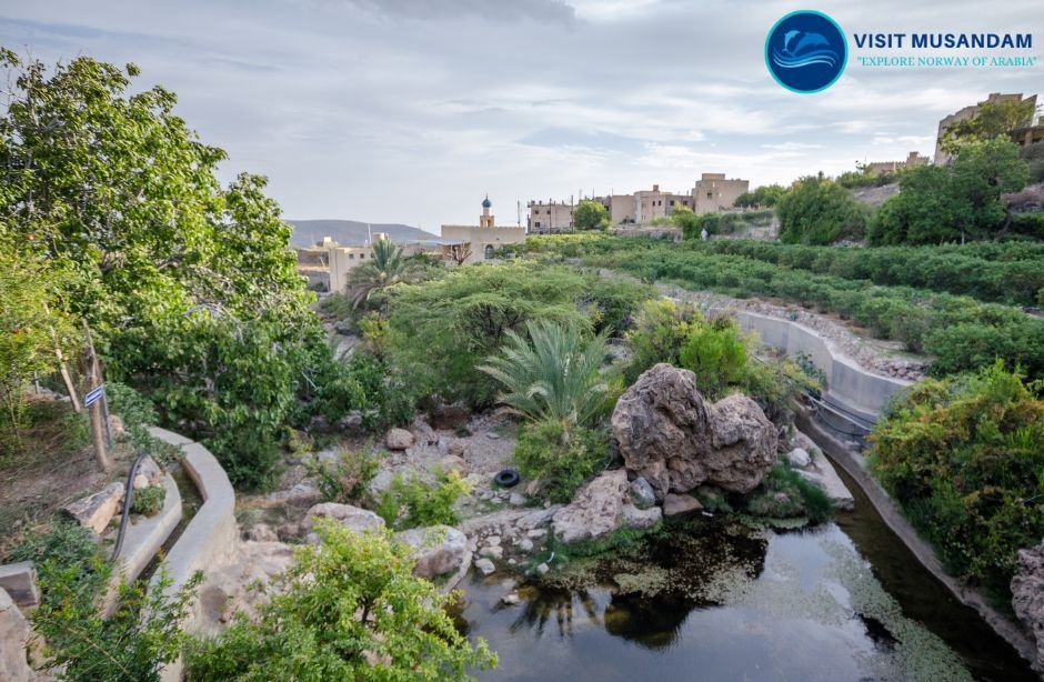 Hidden Villages and Islands in Musandam
